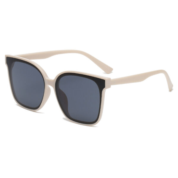 New Retro Net Red Simple Sunglasses Men And Women Trend Travel Street Shooting Sunglasses Decorative Glasses - immagine 6