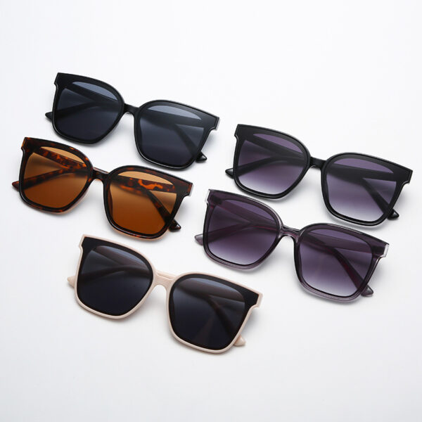 New Retro Net Red Simple Sunglasses Men And Women Trend Travel Street Shooting Sunglasses Decorative Glasses - immagine 2