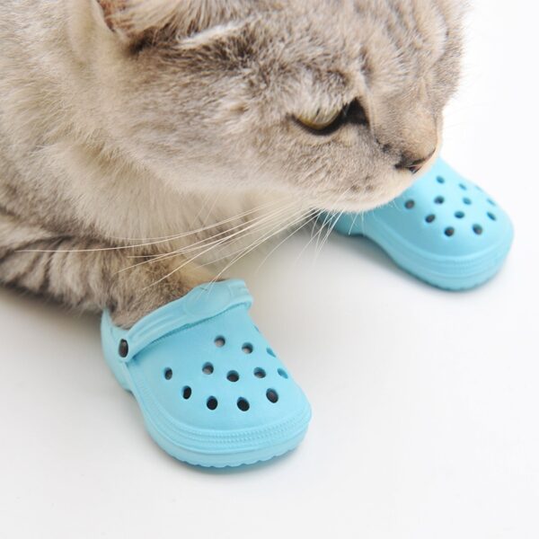 Dog shoes cave shoes beach shoes pet outings dog slippers cat home shoes sandals - immagine 8